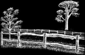 Post and Rail Fencing Sketch